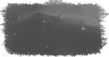 Украинская родословная - Поиск документов в архивах